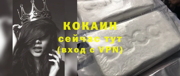 ECSTASY Гусев