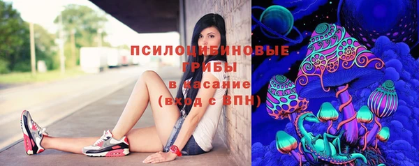ECSTASY Гусев
