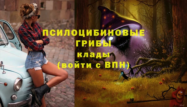 каннабис Горнозаводск