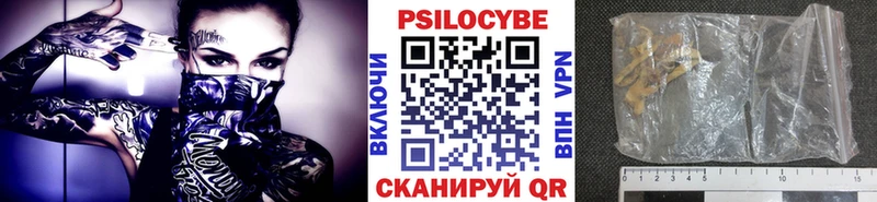 Псилоцибиновые грибы мицелий  Купить где  Кологрив 